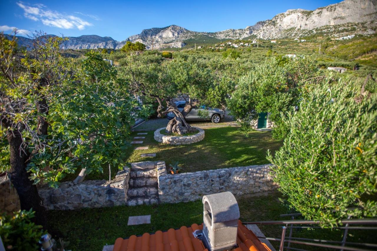 Villa Old Olive, 3Lovelyvillas Подгора Екстер'єр фото
