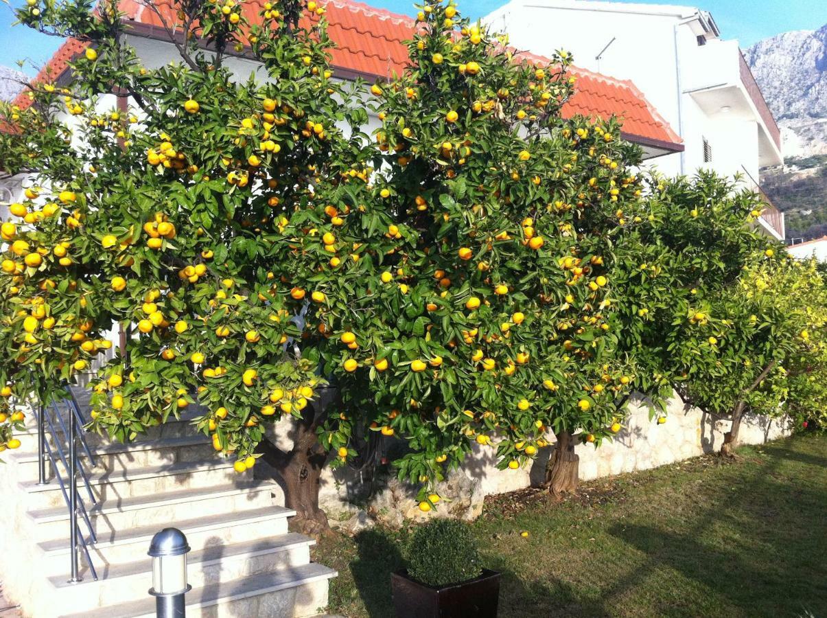 Villa Old Olive, 3Lovelyvillas Подгора Екстер'єр фото